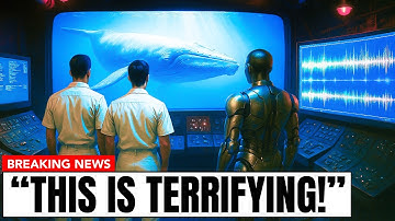 Scientists Just Decoded Language of the Whales Using AI... And It