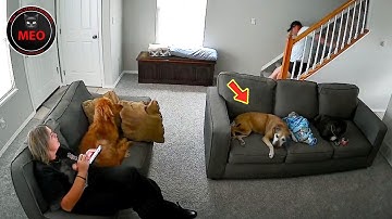 Moments When Things Went Wrong | Embarrassing Moments Caught on Camera(P131)