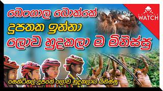 බෙංගාල බොක්කේ දූපතක ඉන්නා ලොව හුදකලා ම මිනිස්සු | Sentinelese - The most isolated tribe in the world