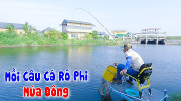 Câu Cá Rô Phi Mùa Lạnh | Mồi Câu Cá Rô Phi