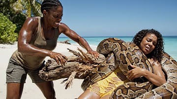 Woman Rescued from Two Giant Burmese Pythons on Beach