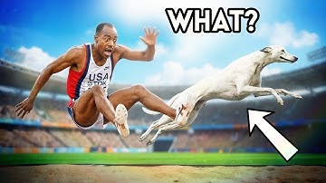 What Happens If a Dog Compete in Olympics Long Jump? REALISTIC 3D SIMULATION