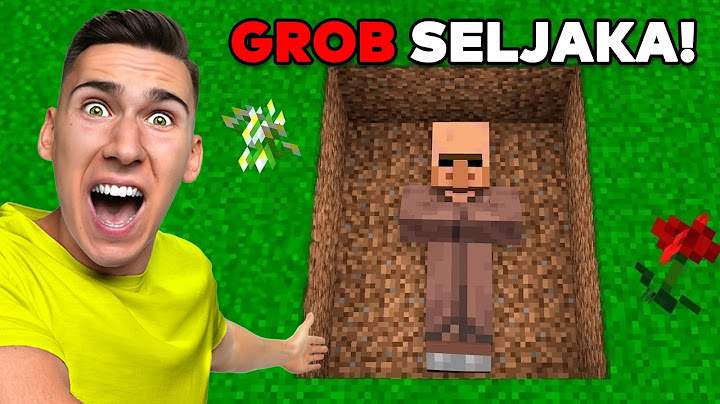 OTKRIVAM MINECRAFT TAJNE KOJE NISTE PRIMETILI!