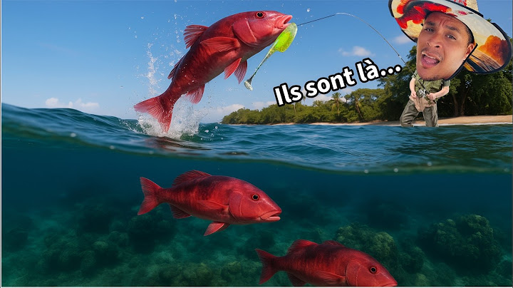 Pêcher pour se nourrir isolé en bord de mer : j'ai des touches non stop C'est FOU !