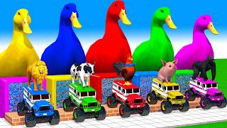 5 Giant Duck Cartoon, Cow, Mammoth, Elephant, Tiger, Paint Wild Animals Crossing Fountain Animation