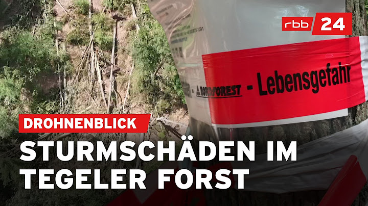 Verwüstung durch Unwetter: So heftig hat es den Tegeler Forst getroffen