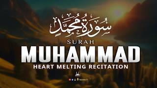 Surah Muhammad سورة محمد | A Calming Quran Recitation And Heart Melting Voice | Habibullah TV