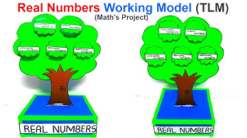 real numbers working model - maths tlm project - diy - craftpiller