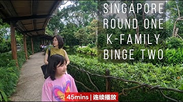 🇸🇬🇰🇷Wat inspireerde ons voor onze volgende diepgaande duik in het hart van Singapore | K-FAMILY 🇸...