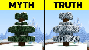 51 Java Vs Bedrock Myths You Still Believe