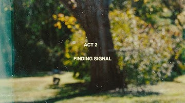 The Burnout | Act 2: Finding Signal