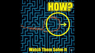 Tiny Ants → Impossible Maze SOLVED: The Chemical Intelligence Secret