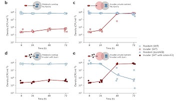 How to insert images into ggplot2 generated figures in R (CC390)