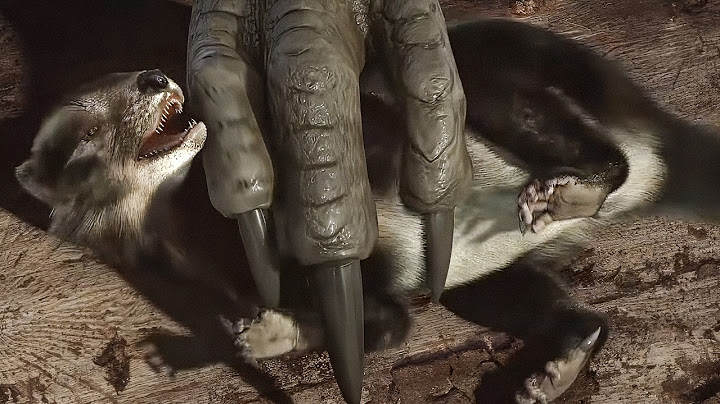 The Mammals that Defied the Dinosaurs