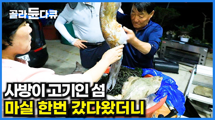 매일 싱싱한 횟감이 공짜다. 돌아가면서 고기 잡아 나눠먹는 인심 좋은 섬마을｜한국기행｜#골라듄다큐