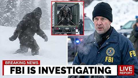 3 MIN AGO: Footage From Alaska’s Wilderness REVEALS the Truth Nobody Was Ready For