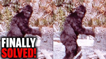 AI Finally Reveals The 1967 Patterson-Gimlin Bigfoot Film, You Won’t Believe What It Found