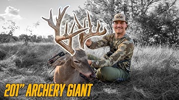 MY LONGEST BOW SHOT ON A WHITETAIL! (201")