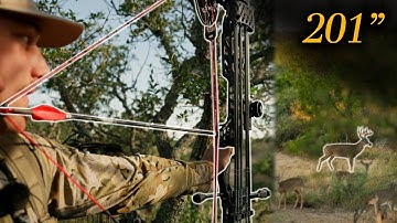 MY LONGEST BOW SHOT ON A WHITETAIL! (201")