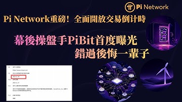 Pi Network重磅！全面開放交易倒计時，幕後操盤手PiBit首度曝光，錯過後悔一輩子！記住這個日子：2025年11月28日！