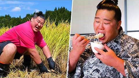How Rice Is Made by Sumo Wrestlers?!🌾 Powerful Harvest… Eating It All🍚