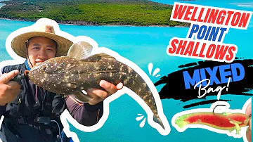 Tried Something New.... And Caught Dinner in SHALLOW Waters! | Epic Mixed Bag Wellington Point 🐟 🔥