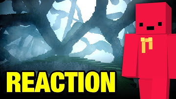 Wolfeei Reacts to Searching For A World That Doesn’t Exist