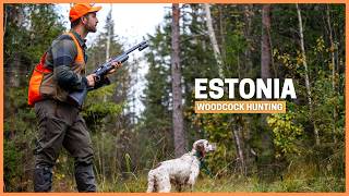 Woodcock Hunting in ESTONIA The REAL Paradise for bird hunting!