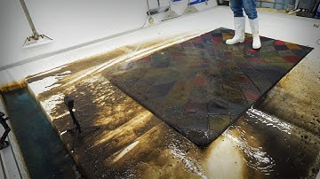 This Filthy Rug TRIGGERED Me… Until the Colourful Reveal 😳🔥 Satisfying ASMR Carpet Cleaning.