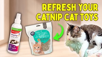 Make boring catnip cat toys EXCITING again with this hack!