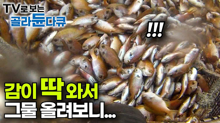 다른 배들 주저할 때 승부수 던진 선장님...감으로 그물 올려봤더니｜제주도 자리돔 그물 찢어지게 잡힌다｜극한직업｜#골라듄다큐