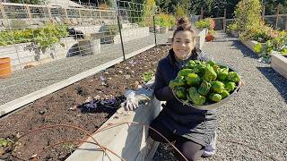 Just when you think it's over... we start again!! Starting 2026's Garden!