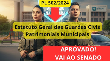 PL 502/2024: APROVADO NA CÂMARA DOS DEPUTADOS (Funções assemelhadas)