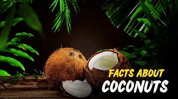 5 verbazingwekkende feiten over kokosnoten die je nog niet wist (de laatste is griezelig!)