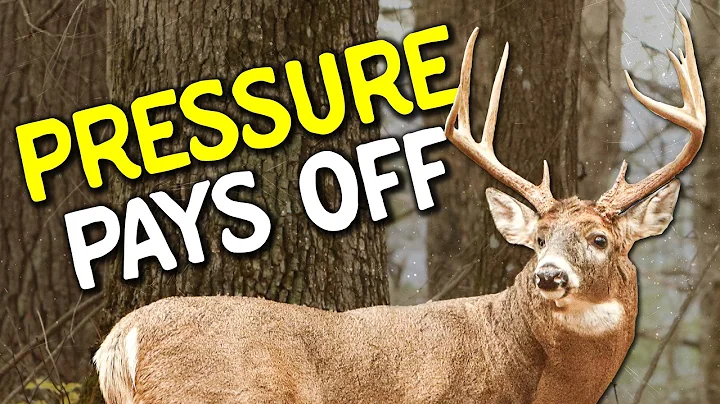 Stop Avoiding Hunting Pressure—Use It to Tag Rutting Bucks