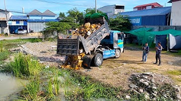 First Start a New Project! Landfill on Flooded Pond, Dozer D20P Pushing Stone Into Water with Trucks