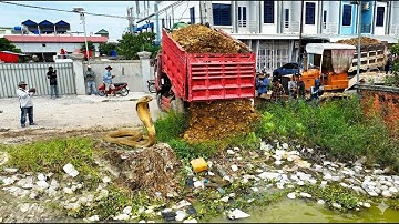 First Start Huge New Project! Landfill on Flooded Garbage Using Dozer D31P Pushing Stone Into Water