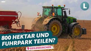 Farmers share 800 hectares and fleet | WDR Lokalzeit Land.Schafft.