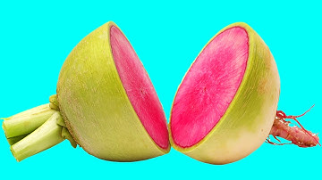 Hidden patterns inside fruit & vegetables in slow & stop-motion [Satisfying & ASMR] Animation NEW