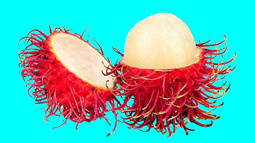 Hidden patterns inside fruit & vegetables in slow & stop-motion [Satisfying & ASMR] Animation NEW