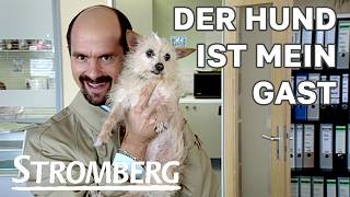 Sondergenehmigung für Lulu | Stromberg HD