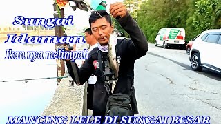 MANCING IKAN LELE ‼️ DI SUNGAI BESAR