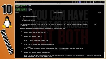 Learn Linux Fast: The First 10 Commands Every Beginner Should Know