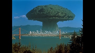 Who Planted The Great Trees?