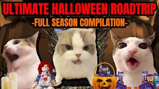 CAT MEMES: THE ULTIMATE HALLOWEEN ROADTRIP COMPILATION