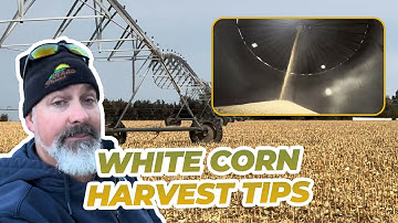 I need a Fix, 4 days of Farming