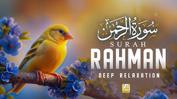 Surah Ar Rahman سورة الرحمن | Lofi Quran Peaceful for Spiritual Rest & Relief | #surahrahman
