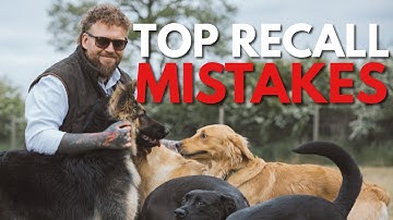 Recall Training Mistakes That RUIN Your Dog’s Progress