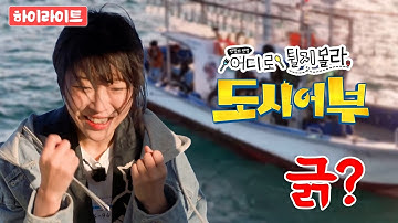 (Eng sub) Ep10. 무늬 오징어를 잡으러 가보자! 어튈라 #도시어부  ⭐️ 【바다 위 인생 맛집】 ❮어디로 튈지 몰라🤔❯ 매주 일요일 저녁 7시 50분