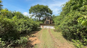 Bulldozer D6R XL Walking Home on the Mountain Plantation Road